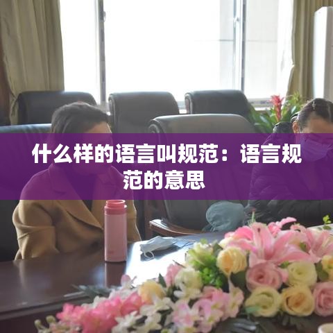 什么樣的語言叫規范:語言規范的意思