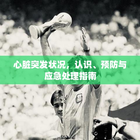 心臟突發(fā)狀況，認(rèn)識(shí)、預(yù)防與應(yīng)急處理指南