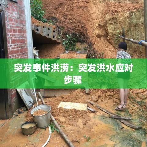 突發(fā)事件洪澇：突發(fā)洪水應對步驟 