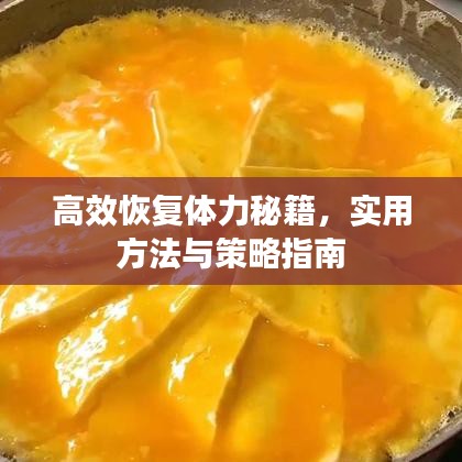 高效恢復體力秘籍,實用方法與策略指南