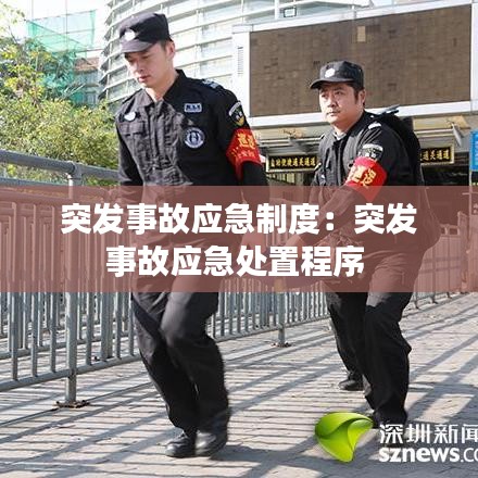 突發事故應急制度：突發事故應急處置程序 