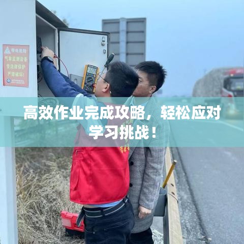 高效作業完成攻略，輕松應對學習挑戰！