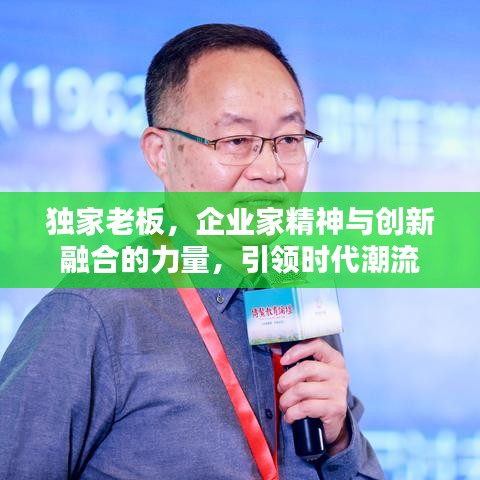 獨家老板,企業家精神與創新融合的力量,引領時代潮流