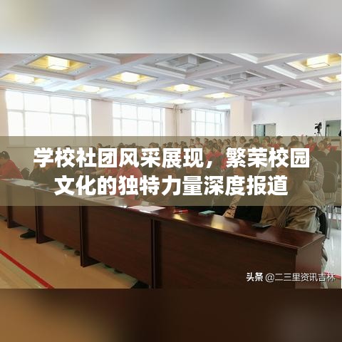 學校社團風采展現,繁榮校園文化的獨特力量深度報道