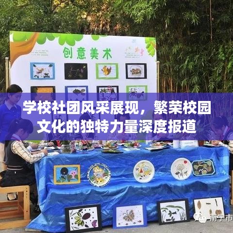 學校社團風采展現,繁榮校園文化的獨特力量深度報道