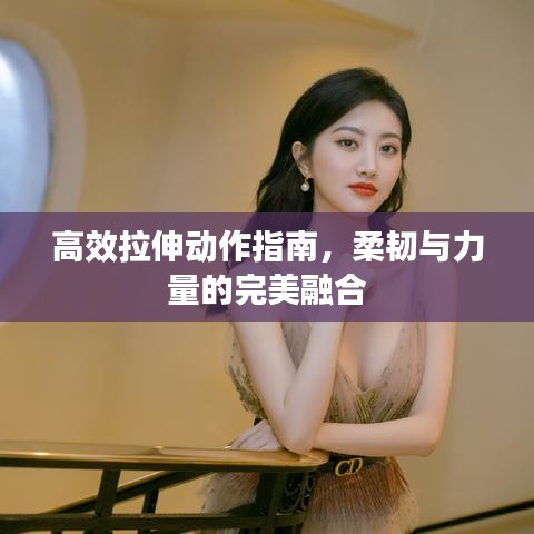 高效拉伸動作指南,柔韌與力量的完美融合