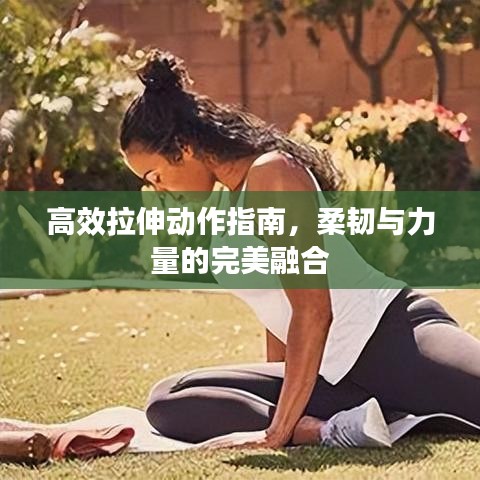 高效拉伸動作指南,柔韌與力量的完美融合
