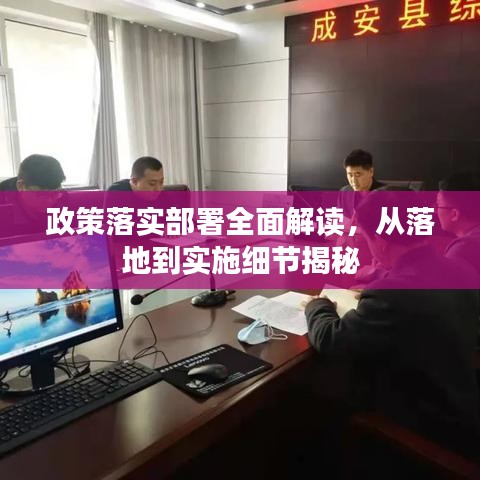 政策落實部署全面解讀，從落地到實施細節揭秘