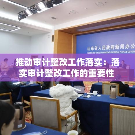 推動審計(jì)整改工作落實(shí)：落實(shí)審計(jì)整改工作的重要性 