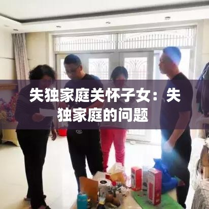 失獨家庭關懷子女：失獨家庭的問題 