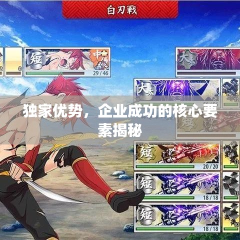 獨家優勢,企業成功的核心要素揭秘