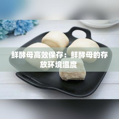 鮮酵母高效保存:鮮酵母的存放環境溫度