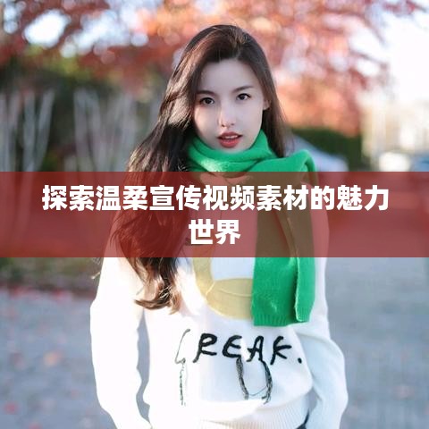 探索溫柔宣傳視頻素材的魅力世界
