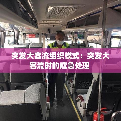 突發大客流組織模式：突發大客流時的應急處理 