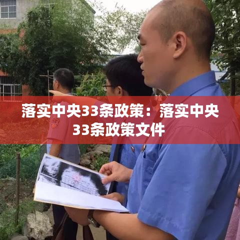 落實(shí)中央33條政策:落實(shí)中央33條政策文件