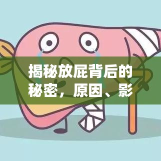 揭秘放屁背后的秘密，原因、影響與應對方法