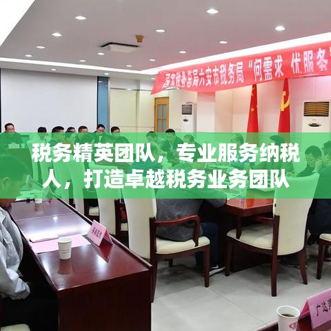 稅務精英團隊,專業服務納稅人,打造卓越稅務業務團隊