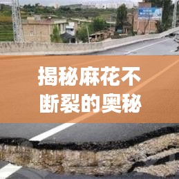 揭秘麻花不斷裂的奧秘，制作技巧全攻略