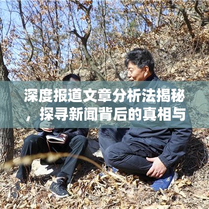 深度報道文章分析法揭秘，探尋新聞背后的真相與價值內幕