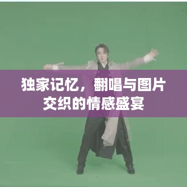 獨家記憶,翻唱與圖片交織的情感盛宴