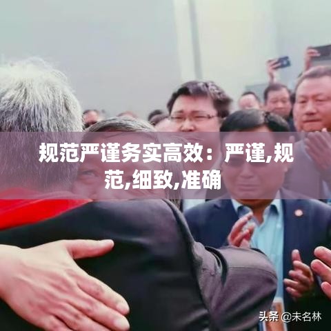 規范嚴謹務實高效：嚴謹,規范,細致,準確 