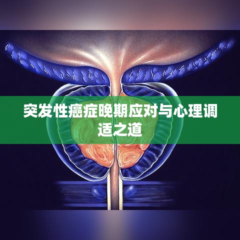 突發性癌癥晚期應對與心理調適之道