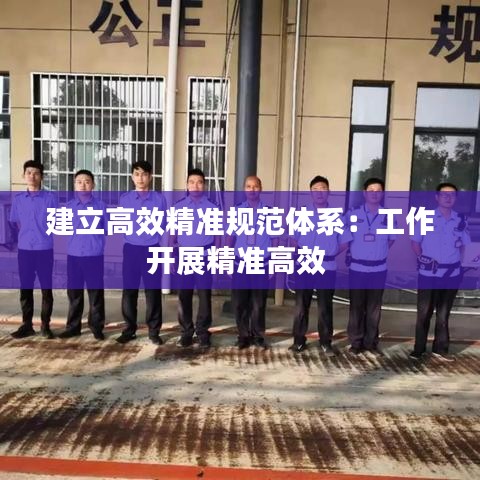建立高效精準(zhǔn)規(guī)范體系:工作開展精準(zhǔn)高效