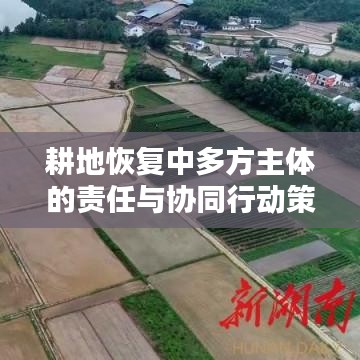 耕地恢復中多方主體的責任與協同行動策略