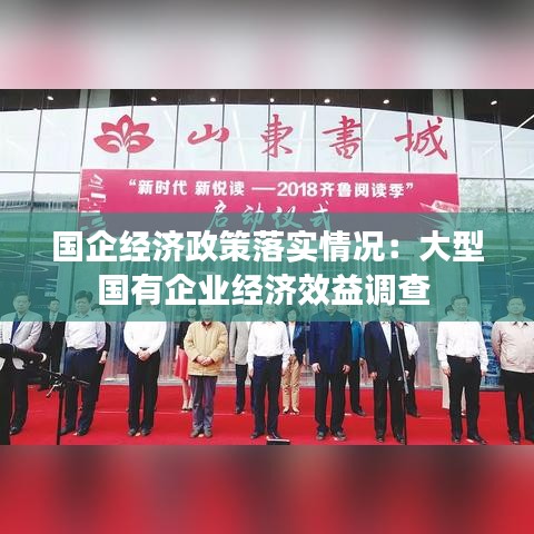 國企經濟政策落實情況:大型國有企業經濟效益調查
