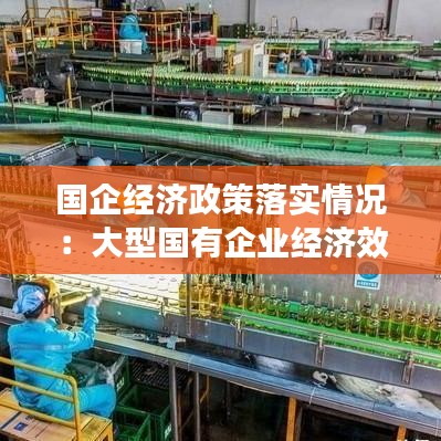 國企經濟政策落實情況:大型國有企業經濟效益調查