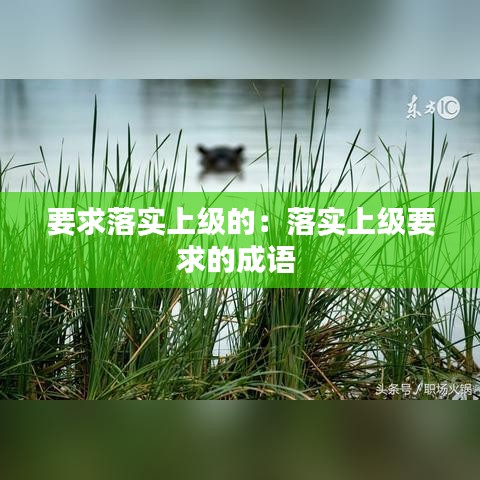 要求落實上級的：落實上級要求的成語 
