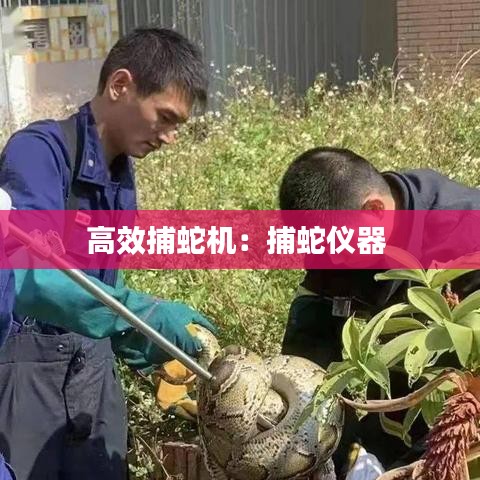 高效捕蛇機：捕蛇儀器 