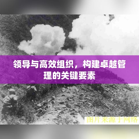 領導與高效組織,構建卓越管理的關鍵要素