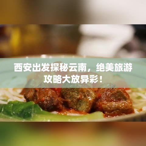 西安出發(fā)探秘云南,絕美旅游攻略大放異彩!