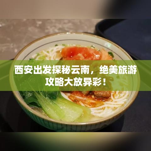 西安出發(fā)探秘云南,絕美旅游攻略大放異彩!