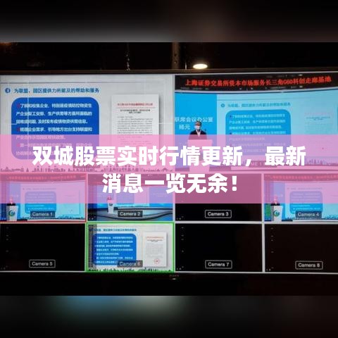 雙城股票實(shí)時(shí)行情更新,最新消息一覽無余!