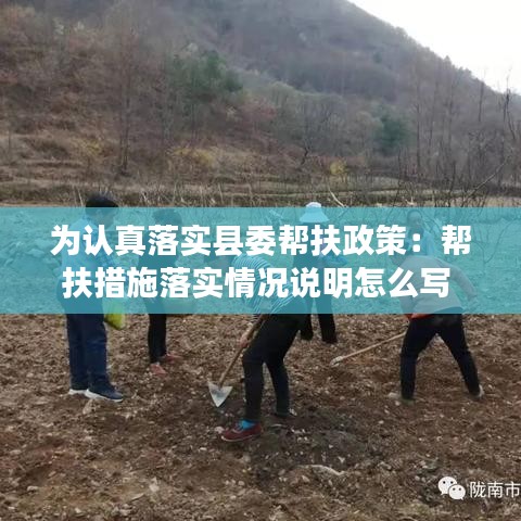 為認真落實縣委幫扶政策：幫扶措施落實情況說明怎么寫 