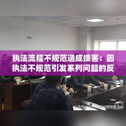 執(zhí)法流程不規(guī)范造成損害:因執(zhí)法不規(guī)范引發(fā)系列問題的反思,心得體會