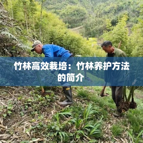 竹林高效栽培:竹林養(yǎng)護方法的簡介