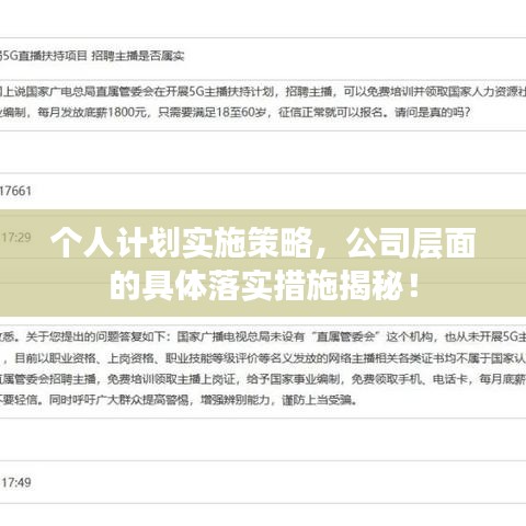 個(gè)人計(jì)劃實(shí)施策略,公司層面的具體落實(shí)措施揭秘!