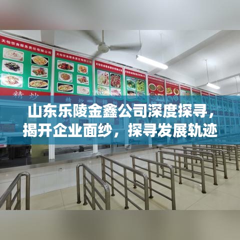 山東樂陵金鑫公司深度探尋，揭開企業面紗，探尋發展軌跡