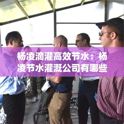 楊凌滴灌高效節(jié)水:楊凌節(jié)水灌溉公司有哪些