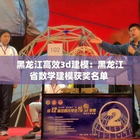 黑龍江高效3d建模：黑龍江省數學建模獲獎名單 