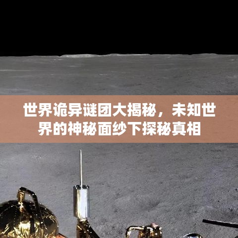 新聞中心 第135頁