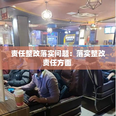 責任整改落實問題：落實整改責任方面 