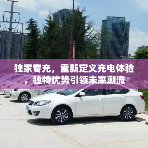 獨家專充,重新定義充電體驗,獨特優勢引領未來潮流