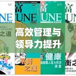 高效管理與領導力提升:領導力與高效能組織學什么