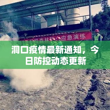 洞口疫情最新通知，今日防控動態更新