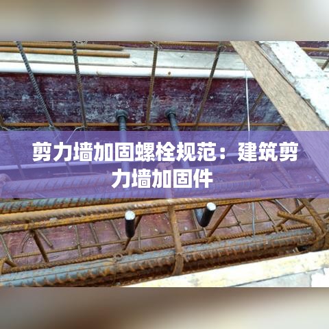 剪力墻加固螺栓規范：建筑剪力墻加固件 