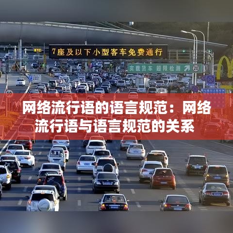 網絡流行語的語言規范:網絡流行語與語言規范的關系